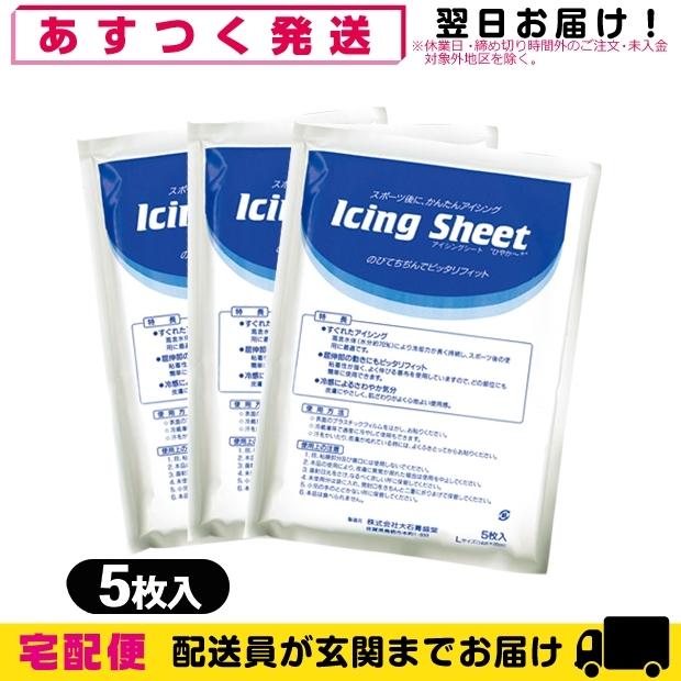 最安値挑戦】 冷却材 大石膏盛堂 アイシングシートL 14x20cm 5枚入り x5袋 合計25枚 ：当日出荷