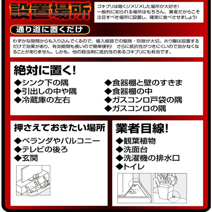 333円 77 以上節約 ゴキちゃんグッバイ プラス 6個入 ゴキブリ駆除剤 医薬部外品 Cp8