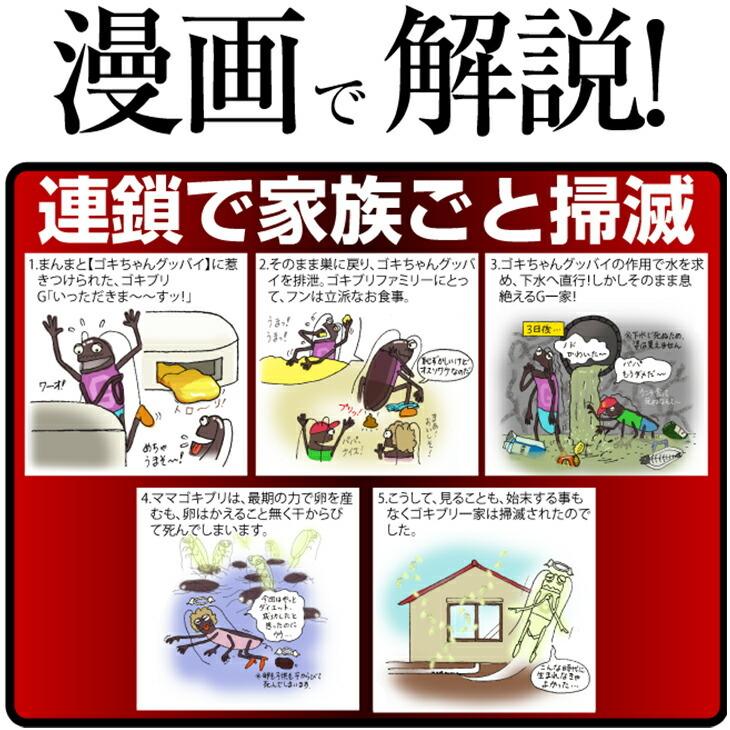 ゴキちゃんグッバイ プラス (6個入) ゴキブリ駆除剤 医薬部外品 「cp8
