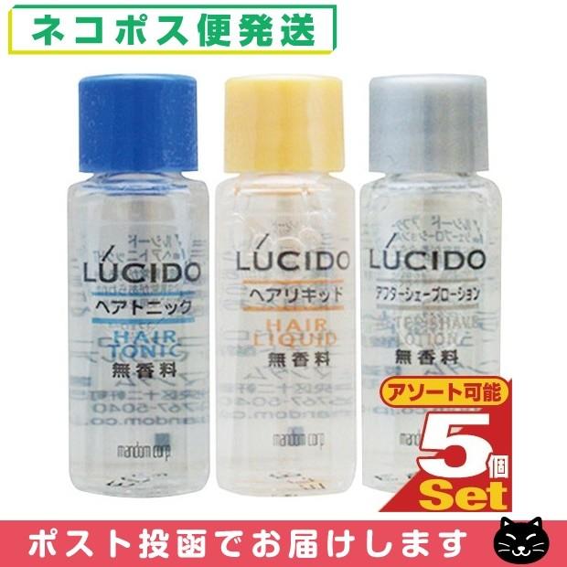 LUCIDO（ルシード） マンダム ミニボトル 8ml x5個 ヘアトニック