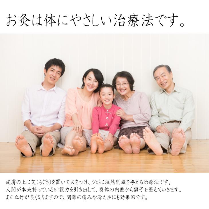 業務用 もぐさ・お灸 艾 any キネフィット 温灸用もぐさ(温灸もぐさ