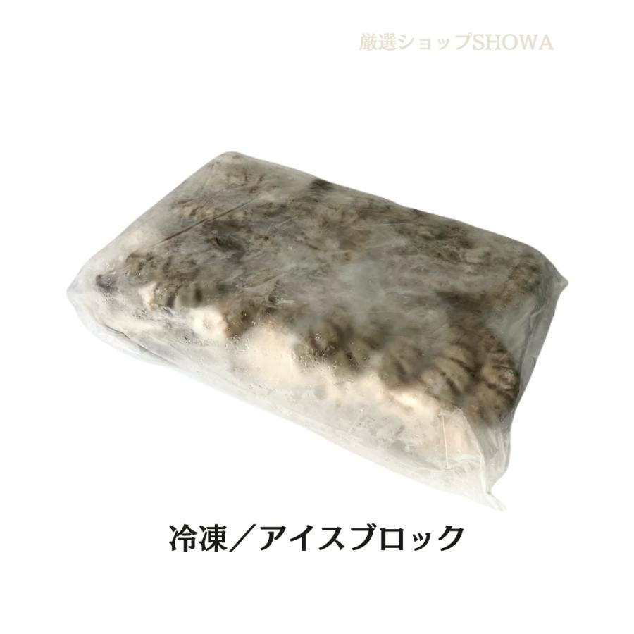 えび様 ブラックタイガー 無頭 殻付えび 16/20 冷凍 1.8kg から付き