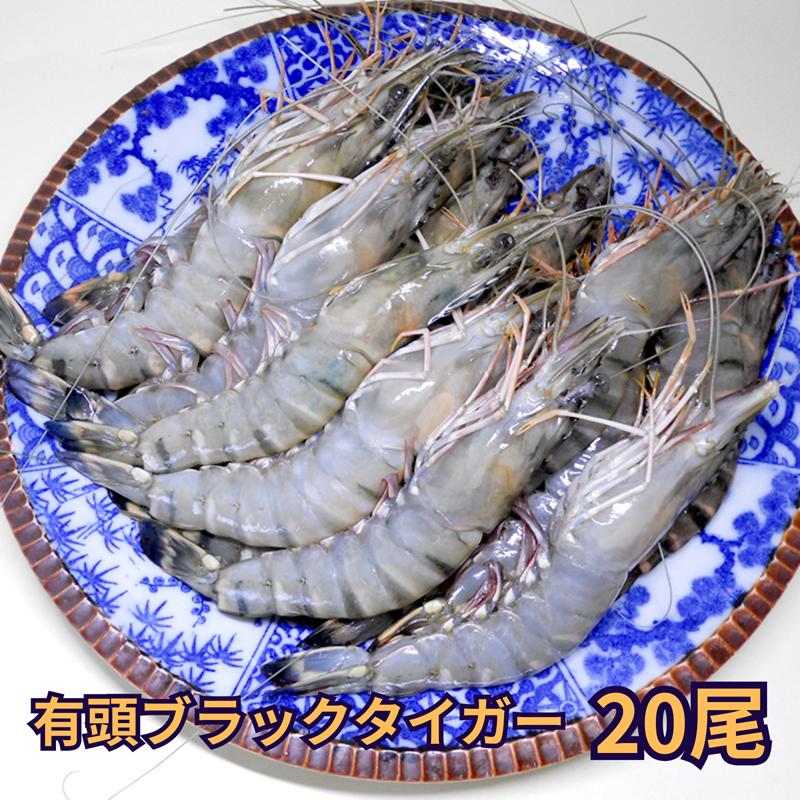 ブラックタイガーシュリンプ若エビ20匹以上！ 有頭 ブラックタイガー 20尾入 NET1.3kg 冷凍 業務用 BT から付き 海老
