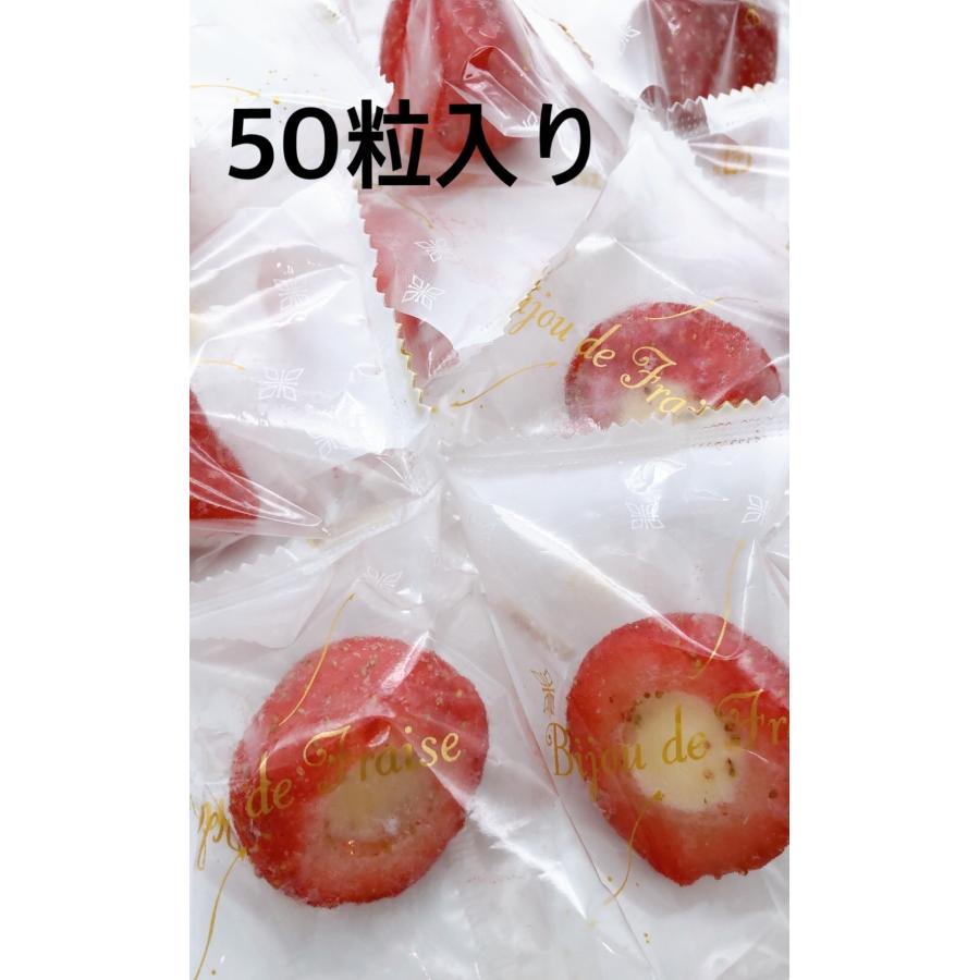 ヒカリ乳業 苺アイス 練乳入り 50粒入×2袋 冷凍 鹿野屋 いちご丸ごと