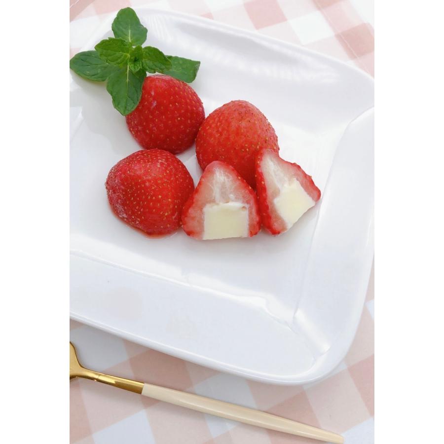 ヒカリ乳業 苺アイス 練乳入り 50粒入×2袋 冷凍 鹿野屋 いちご