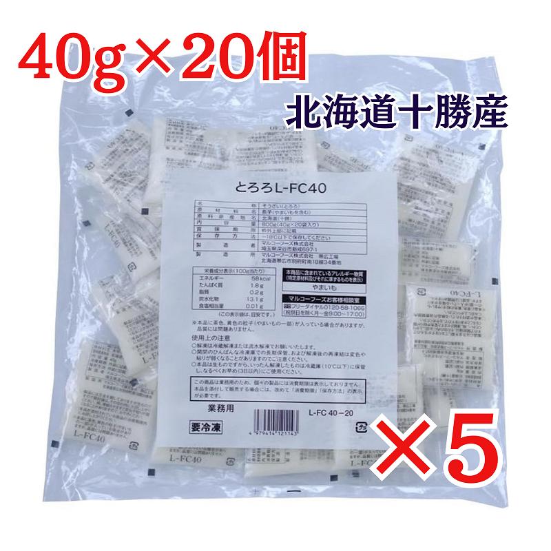 十勝産 とろろ (40g×20個入)×5袋 冷凍 マルコーフーズ LFC40 北海道産