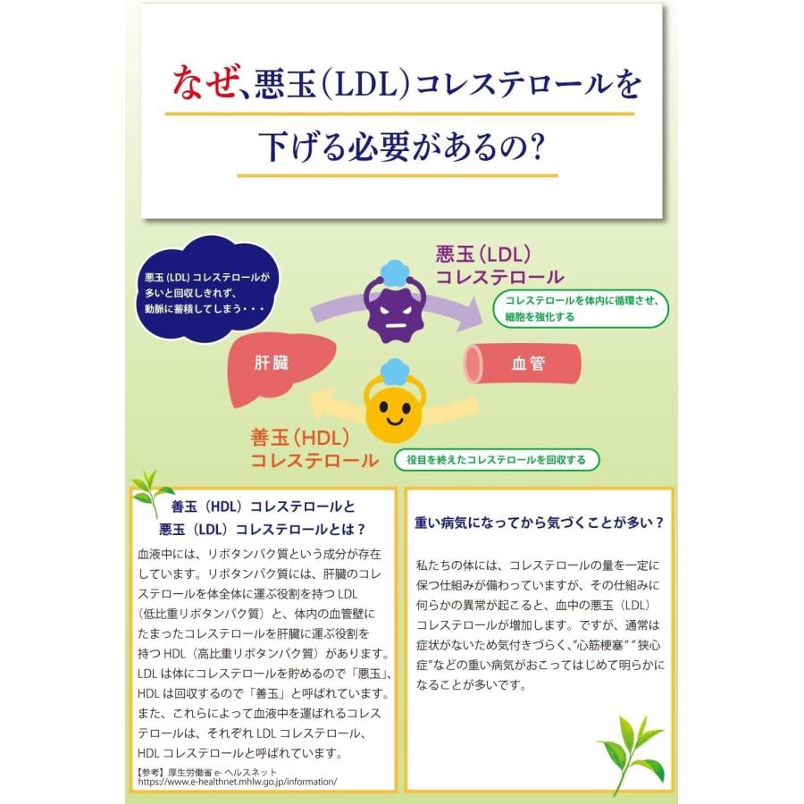 【セール】 「72本」 伊右衛門プラス コレステロール対策 ほうじ茶ブレンド 500ml 24本 3ケース 合計72本 (お茶 機能性表示食品 サントリー)_8
