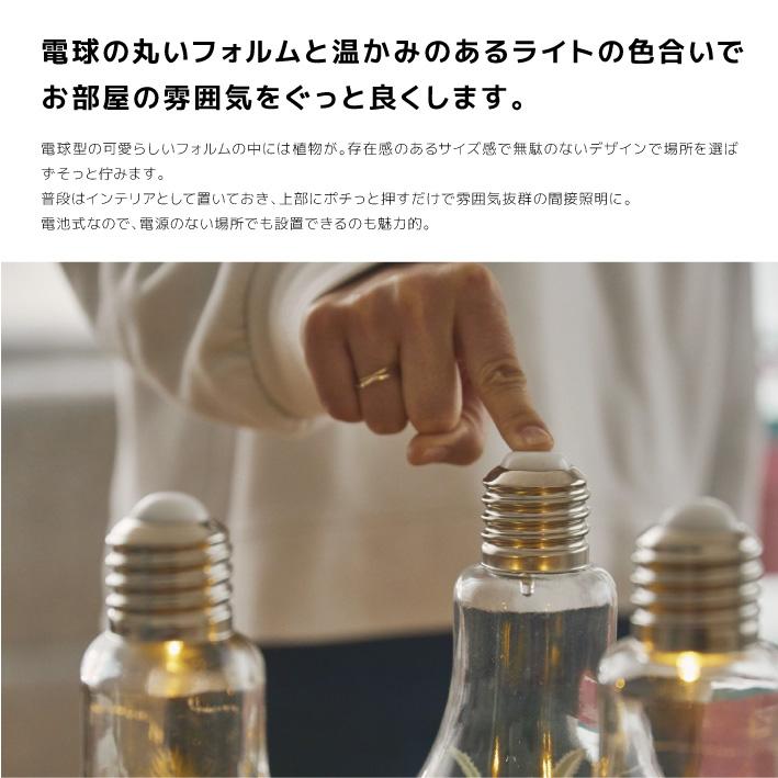 テーブルライト 北欧 電球型インテリアテーブルライト おしゃれ 卓上ライト テラリウム 観葉植物 ランプ テーブル アンティーク テーブルランプ |  | 02