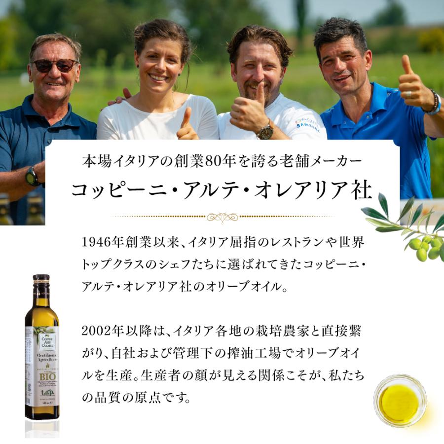 本水牛18目引分オリーブ油特殊加工三本まとめ 好評につき完売】2024
