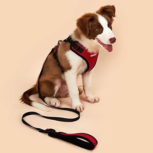Mudinpet 犬 犬用 ハーネス 胴輪 1cm リードが付き 小中型犬 引っ張り防止 お出かけ 散歩 調節可 能 夜間反射 ベスト型 ソフト 0uqc1kzpiv ペット用品 生き物 Gradbound Com