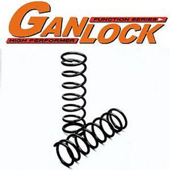 GANLOCK コイルスプリング・ランドクルーザー76系・100mmアップ(フロント)_1