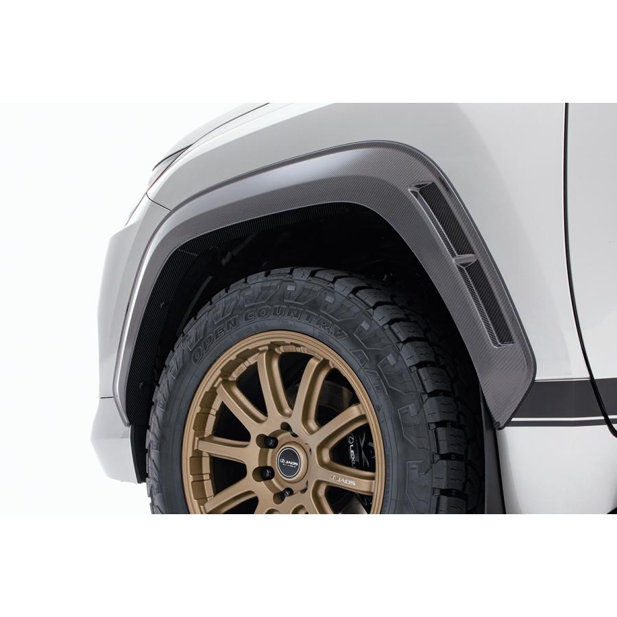 JAOS（ジャオス） オーバーフェンダー type-R LX 22+ : シューエイ