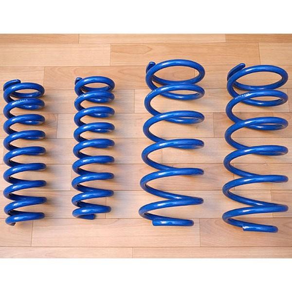 150プラド後期ガソリン車用 　　　　　　　モトレージ　前後スプリングセット 150プラド(ディーゼル) コイルスプリング TERRA モトレージ : シュー