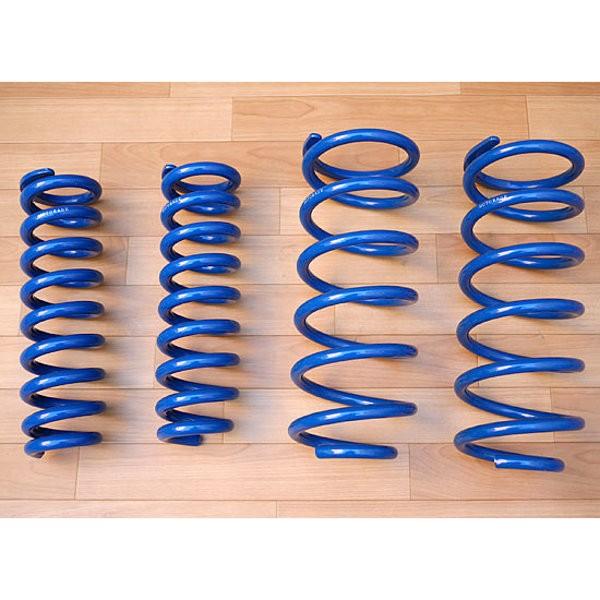 FJクルーザー ハードタイプ コイルスプリング TERRA モトレージ