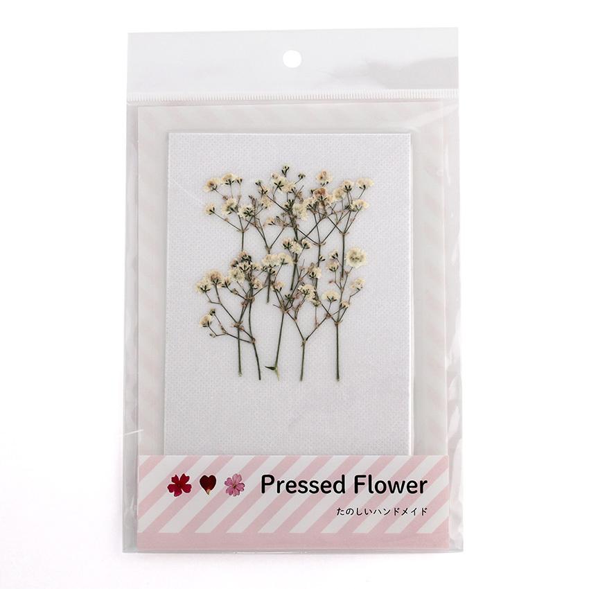 Aplus 押し花パック かすみ草枝付 おしばな カスミソウ 白 ホワイト 枝 アプラス Pressed Flower ハンドメイド 手芸材料の通販シュゲールyahoo 店 通販 Yahoo ショッピング