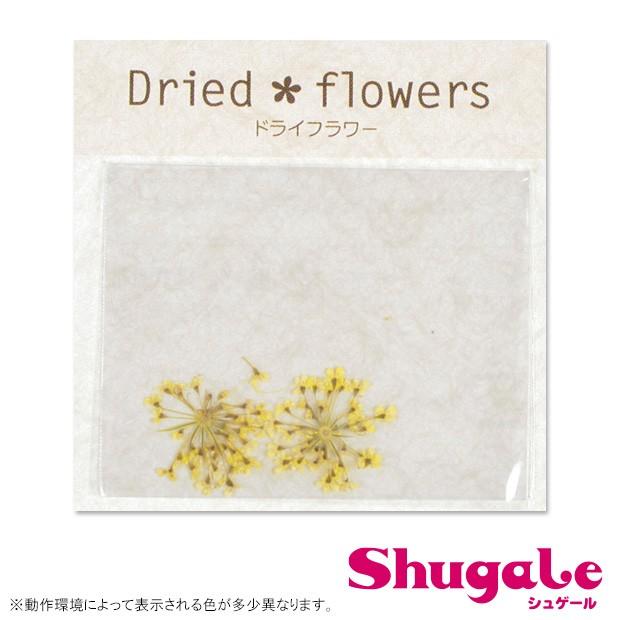 クラフトハートトーカイ フラワー 押し花 レースフラワー イエロー 
