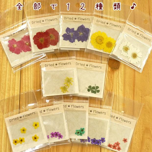クラフトハートトーカイ フラワー 押し花 レースフラワー イエロー