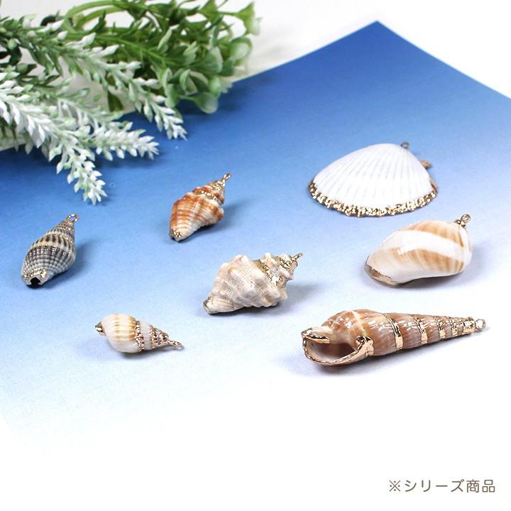 貝殻装飾品 宝石のような輝きはまるでアクセサリー。約100種のデザインから
