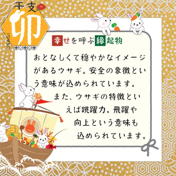 幸せを呼ぶ縁起物 干支 卯 厄除け七色鈴卯 | 干支 十二支 卯 ビーズステッチ うさぎ 鈴 正月 キット ステッチキット 手作り 材料セット|shugale1|04