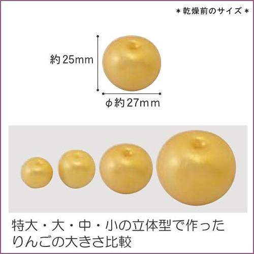粘土 用具 押し型・抜き型 クレイジュエリー型抜き りんご立体型 大 | サン工業  日清アソシエイツ |  | 01