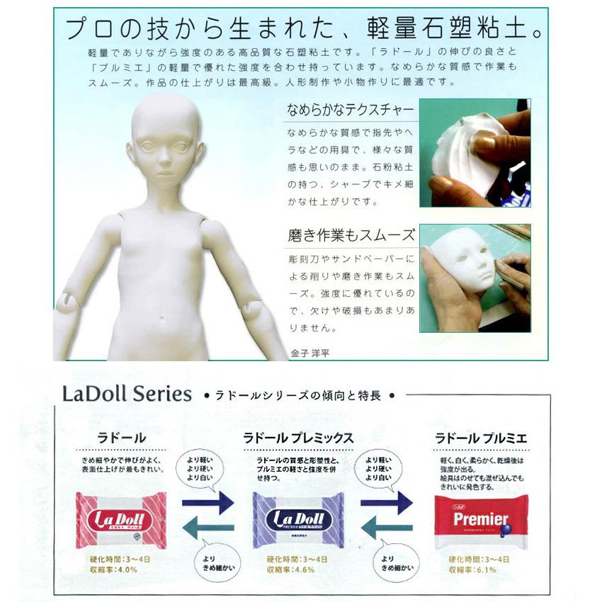 PADICO（パジコ） ラドール プレミックス 120g | 粘土 軽量 石塑粘土