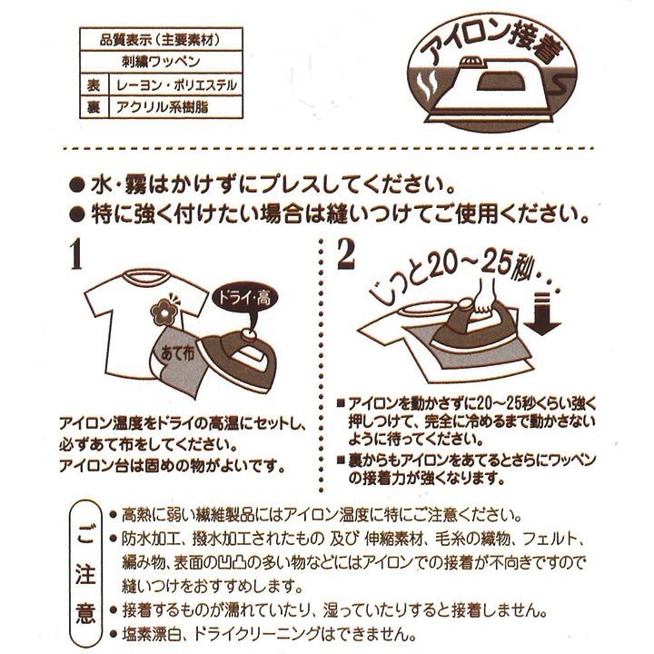 クラフトハートトーカイ 名札付けワッペン ティラノサウルス | 名札