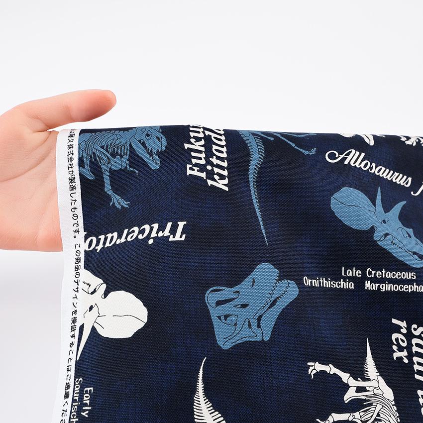 クラフトハートトーカイ 福井恐竜博物館 骨格標本柄 オックス 1m