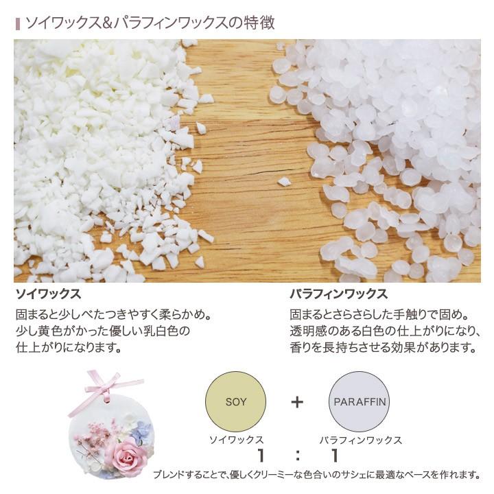 パラフィンワックス加熱器セット パラフィンワックスマシン パラフィンワックスウォーマー 予約受付