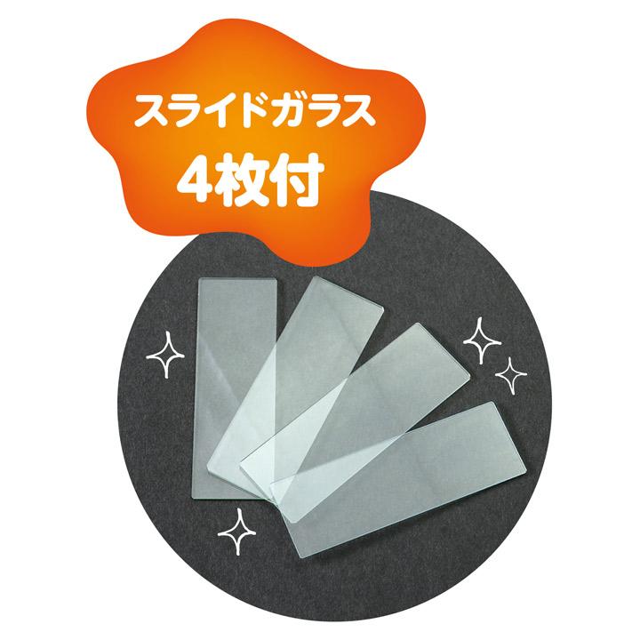 クラフトハートトーカイ 150倍顕微鏡工作キット | 夏休み 工作 自由