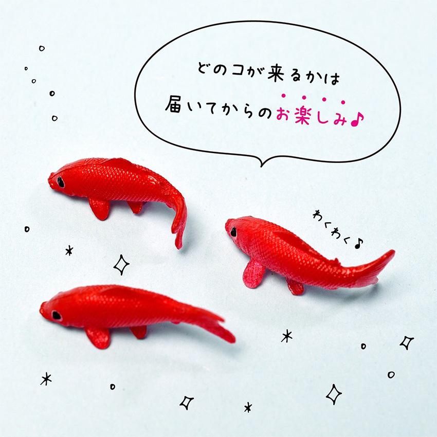 エルベール 鯉パーツ 大 RS-662 ミニチュア細工 レジン ハーバリウム 