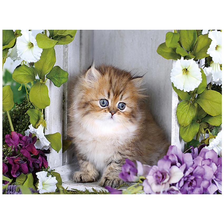 キラキラビーズアート ねこの1日 SCB-427 ／ キャンバスサイズ 40×30cm