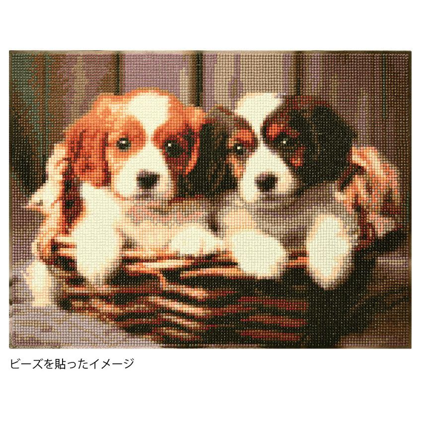 キラキラビーズアート 仲良しワンコ SCB-494 キャンバスサイズ 40×30cm