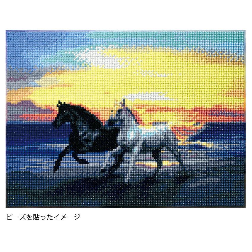 キラキラビーズアート 海辺の馬 SCB-499 キャンバスサイズ 40×30cm