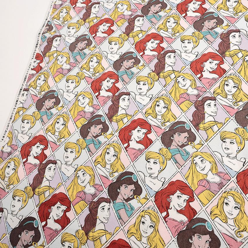 ディズニープリンセス新品絵本　11冊　まとめ売り ディズニー プリンセス 絵本 4冊セット - メルカリ