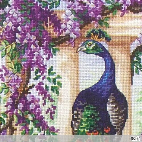 刺繍 輸入キット maia The Peacock 孔雀 : 手芸材料の通販シュゲール