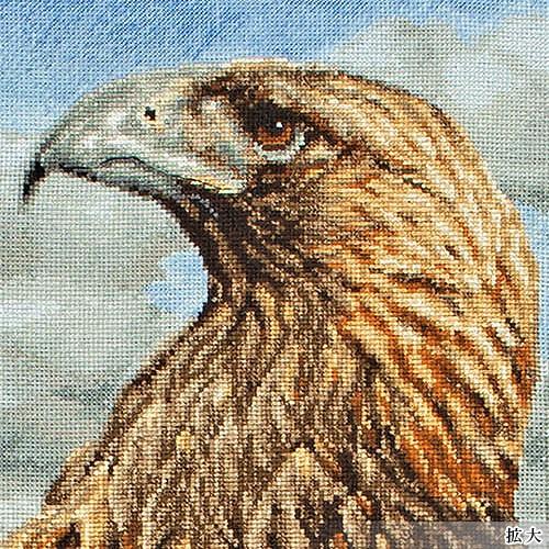 刺繍 輸入キット maia 3D Eagleの画像