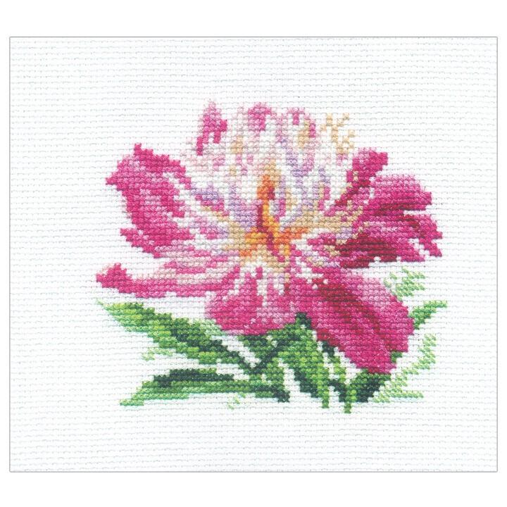 アリサページ 刺繍 輸入キット ALISA（アリサ） Little and Cute Pink Peony : 手芸