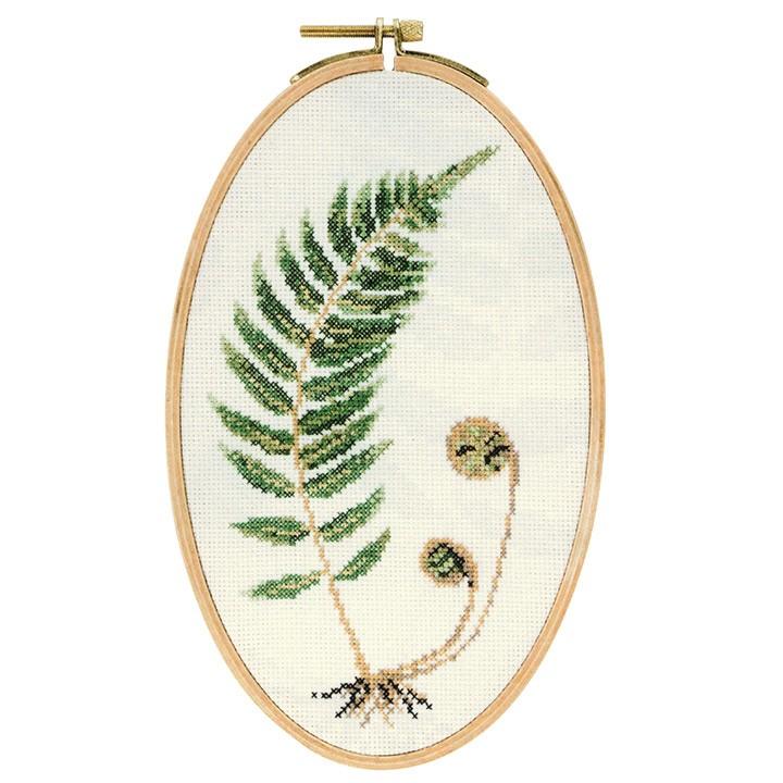 刺繍 輸入キット Rico Picture Kit Farn シダ 刺しゅう枠付 手芸材料の通販シュゲールyahoo 店 通販 Yahoo ショッピング