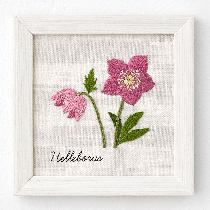 刺繍 青木和子 12か月の植物手帖 クリスマスローズ フレーム付き