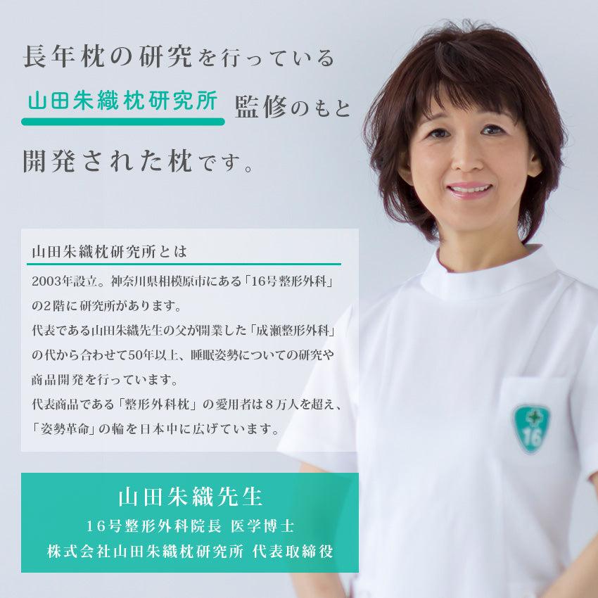 クラフトハートトーカイ アスシア枕BOX レギュラー ｜枕 枕