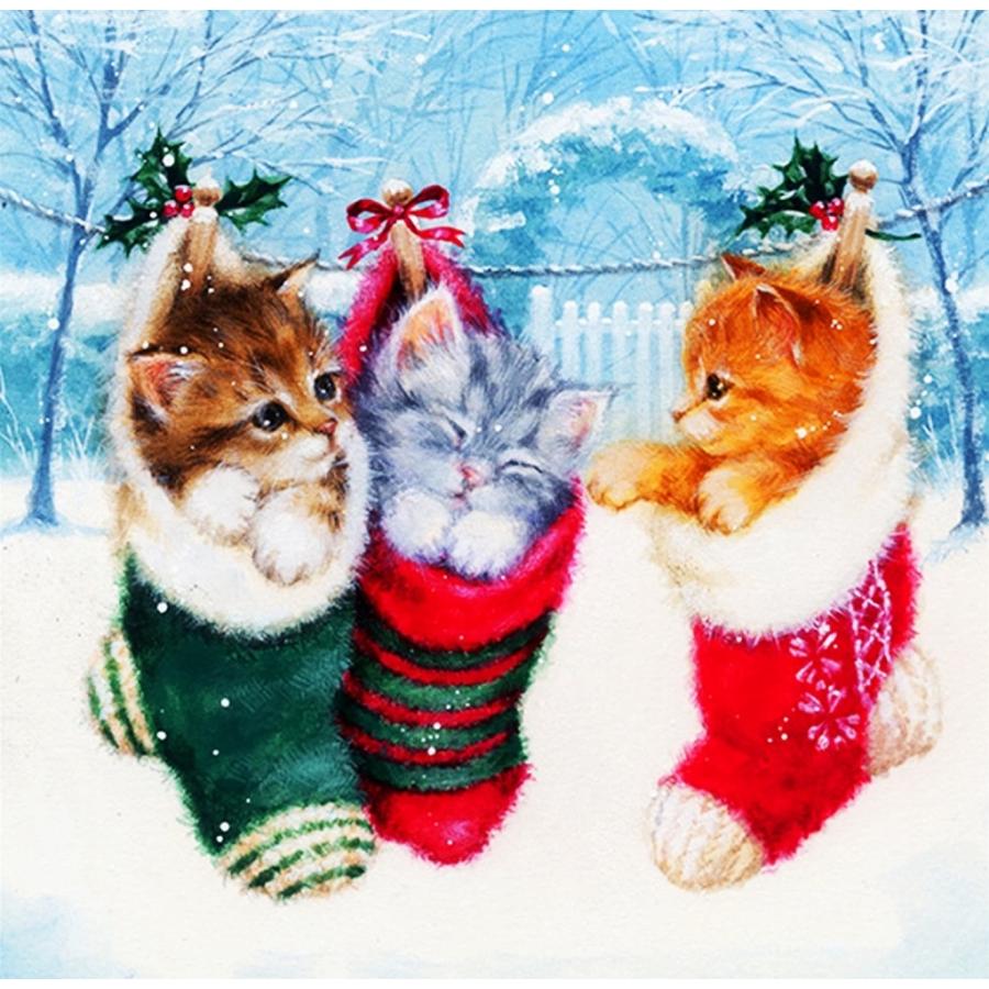 ダイヤモンドアート クリスマスの子猫たち 猫 靴下 ダイアモンドペインティング ビーズ刺繍キット セット クロスステッチ 趣味 ハンドメイド 手芸 送料無料 Dai 028 クロスステッチキット シフォン 通販 Yahoo ショッピング