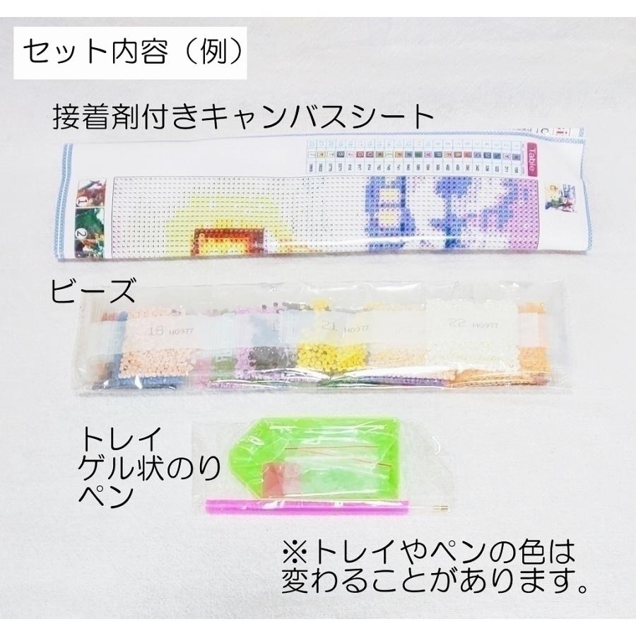 ダイヤモンドビーズ絵画 刺繍キット ダイヤモンドアート 国内在庫 虹のシンデレラ城 ダイアモンドペインティング ハンドメイド 手芸 ビーズ刺繍キット 送料無料 セット