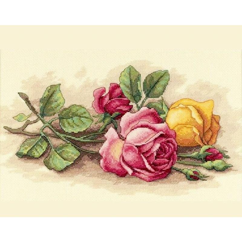 Dimensions クロスステッチキット 美しい薔薇 バラ Rose Cuttings 花 ディメンションズ 送料無料 Di 1041 クロスステッチキット シフォン 通販 Yahoo ショッピング