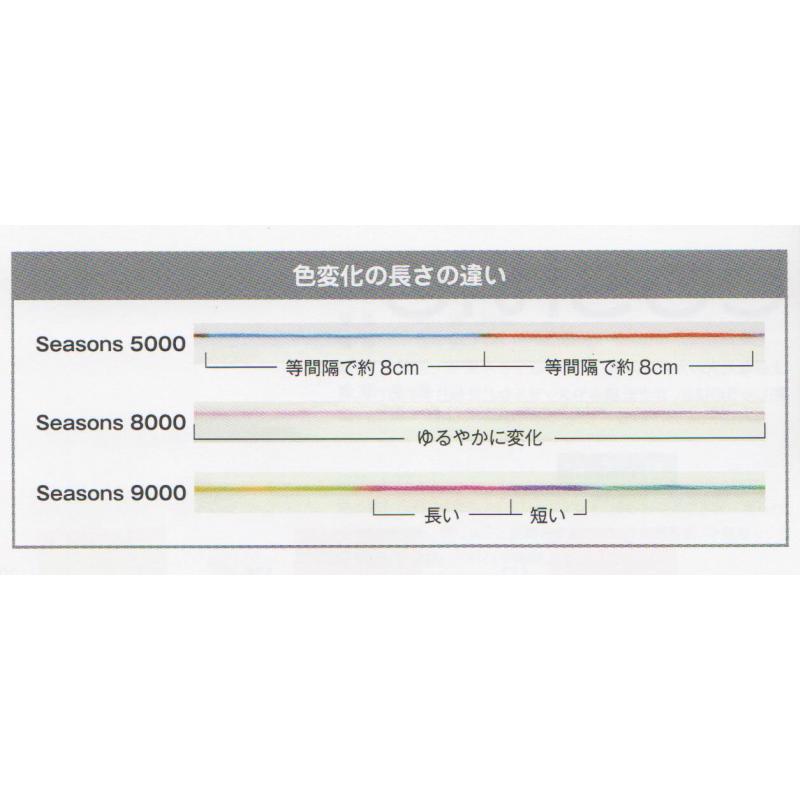 ルシアン コスモ 刺しゅう糸 Seasons 9000 25番 #25 ぼかし ルシアン コスモ 刺しゅう糸 Seasons 9000 25番 #25 ぼかし