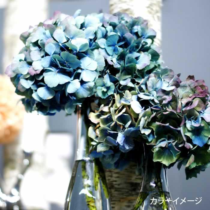 GARDEN PARTY(ガーデンパーティー) 刺しゅう糸（刺繍糸）セット
