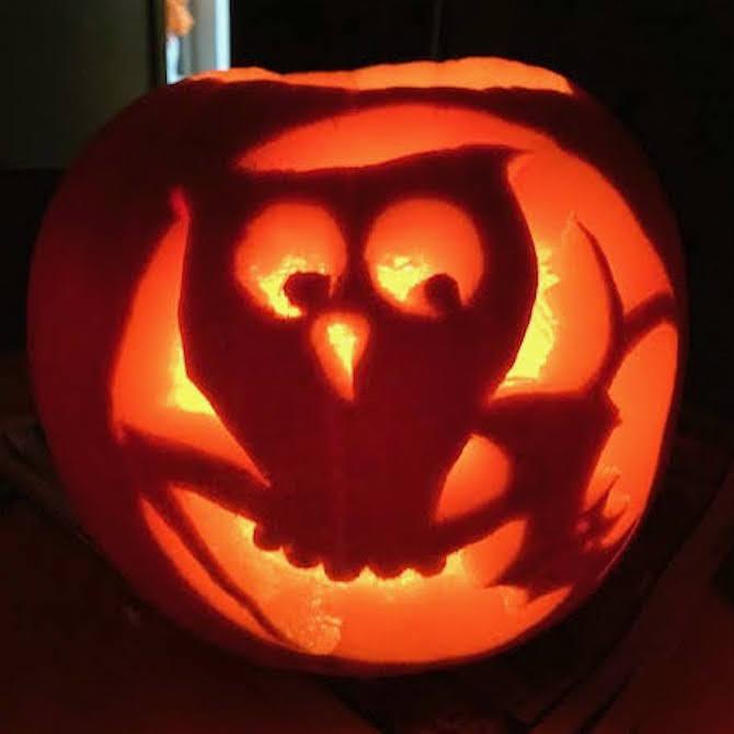 豪奢な かぼちゃペースト 1kg 南瓜 ハロウィン 北海道産 製菓材料 パン材料 ハロウィンかぼちゃ本物 J北海道