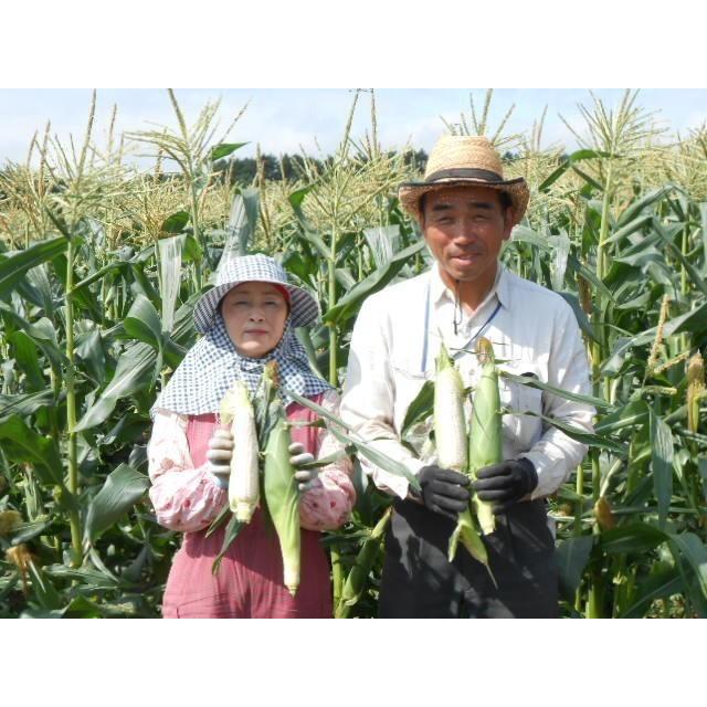 【即購入⭕️】 【予約受付中】8月から9月上旬頃発送しろいあま〜い約350~450gの特大とうもろこしロイシーコーン 100本【送料無料】北海道産朝収穫即日発送 【2744622097】(16573円)