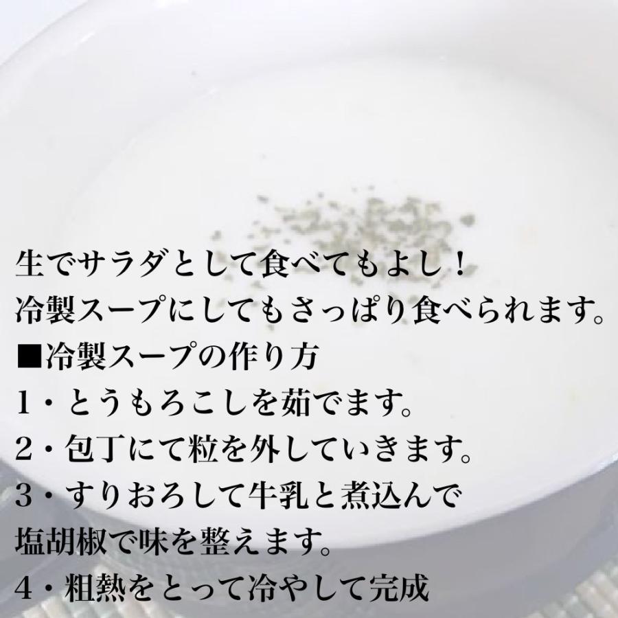 【即購入⭕️】 【予約受付中】8月から9月上旬頃発送しろいあま〜い約350~450gの特大とうもろこしロイシーコーン 100本【送料無料】北海道産朝収穫即日発送 【2744622097】(16573円)