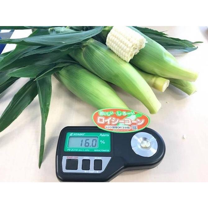 【即購入⭕️】 【予約受付中】8月から9月上旬頃発送しろいあま〜い約350~450gの特大とうもろこしロイシーコーン 100本【送料無料】北海道産朝収穫即日発送 【2744622097】(16573円)