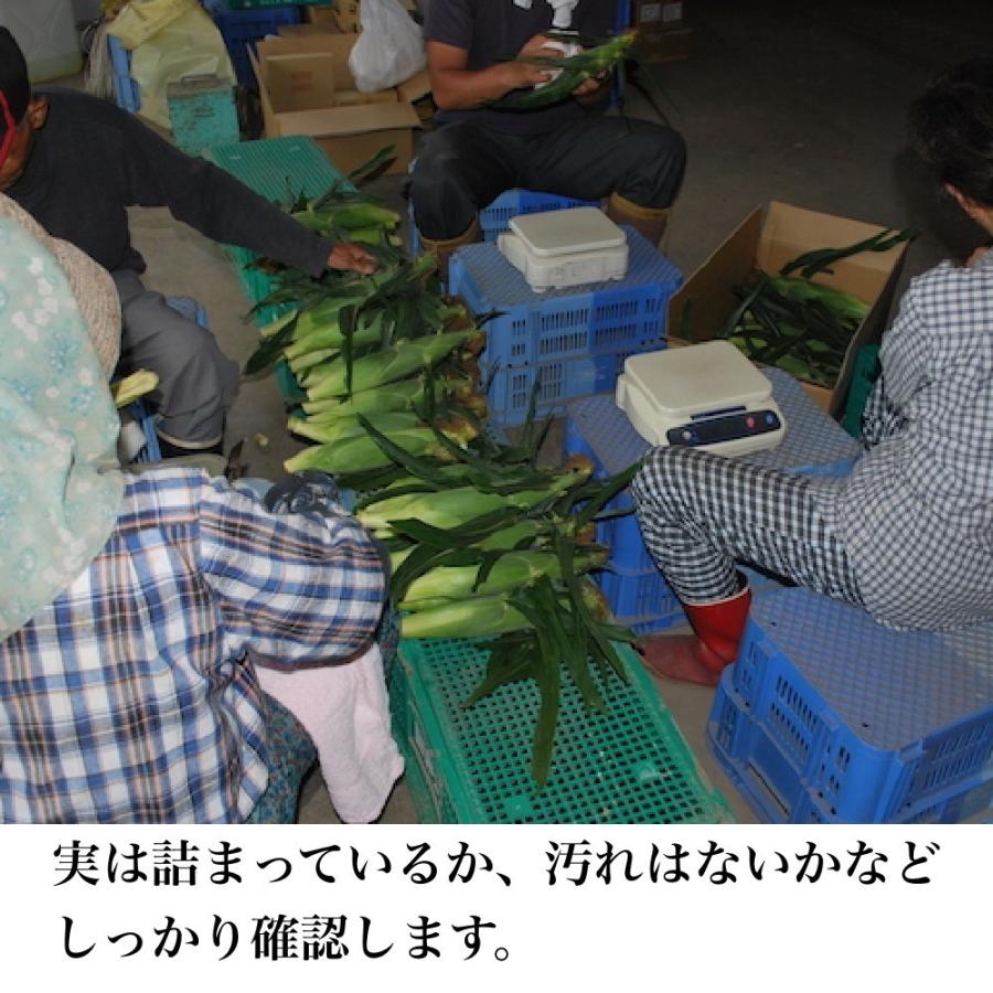 【即購入⭕️】 【予約受付中】8月から9月上旬頃発送しろいあま〜い約350~450gの特大とうもろこしロイシーコーン 100本【送料無料】北海道産朝収穫即日発送 【2744622097】(16573円)